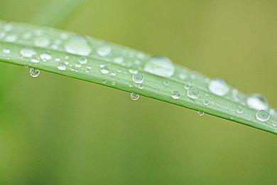  《丝之歌》发布过渡版本更新 三号补丁仍开发中